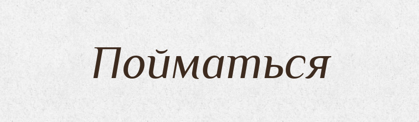 Пойматься — Російсько-український академічний словник (А–П)
