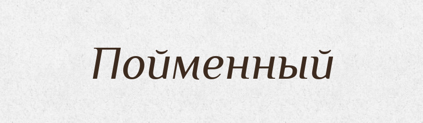 Пойменный — Російсько-український академічний словник (А–П)