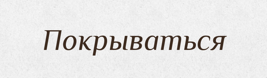Покрываться — Російсько-український академічний словник (А–П)