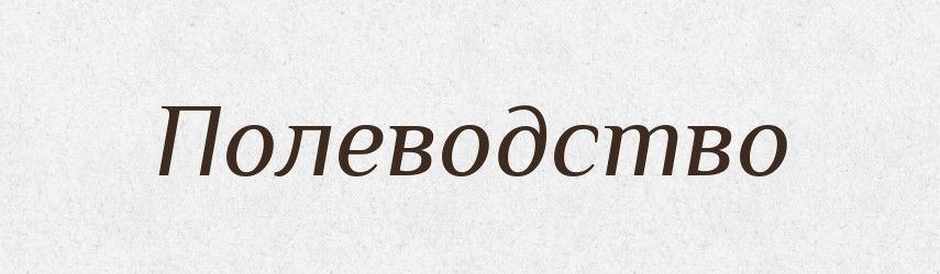 Полеводство — Російсько-український академічний словник (А–П)