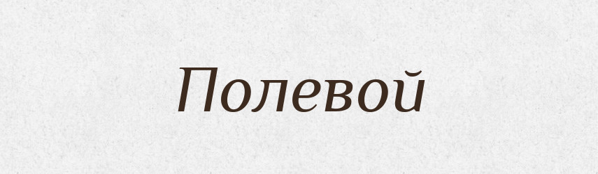 Полевой — Російсько-український академічний словник (А–П)