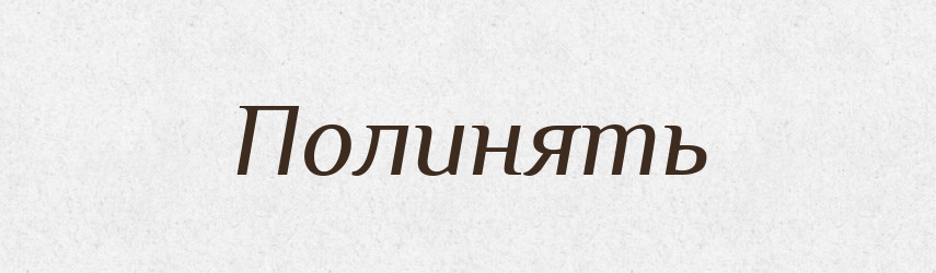 Полинять — Російсько-український академічний словник (А–П)