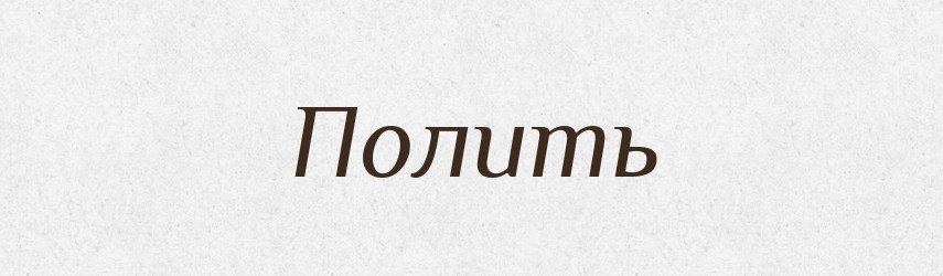 Полить — Російсько-український академічний словник (А–П)
