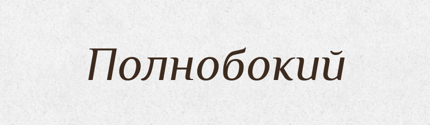 Полнобокий — Російсько-український академічний словник (А–П)