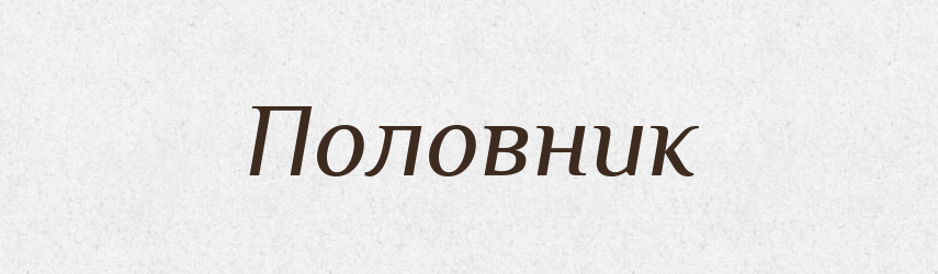 Половник — Російсько-український академічний словник (А–П)