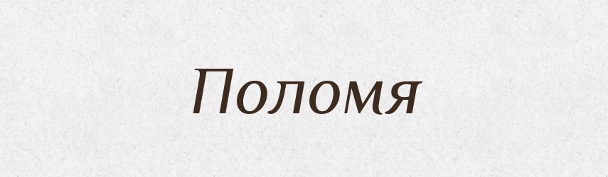 Поломя — Російсько-український академічний словник (А–П)