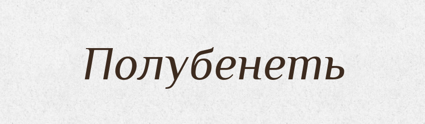 Полубенеть — Російсько-український академічний словник (А–П)