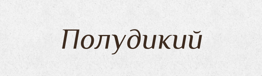 Полудикий — Російсько-український академічний словник (А–П)