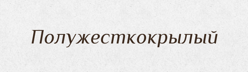Полужесткокрылый — Російсько-український академічний словник (А–П)