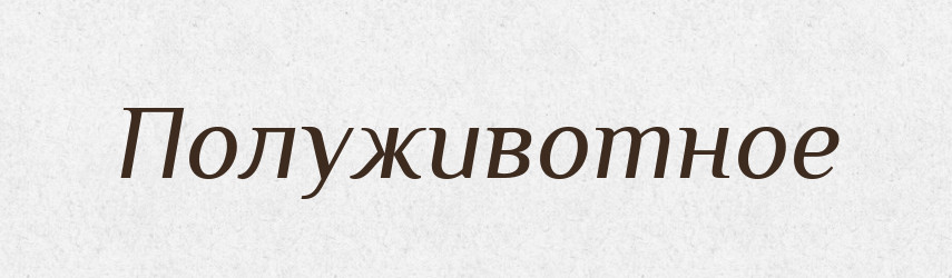 Полуживотное — Російсько-український академічний словник (А–П)