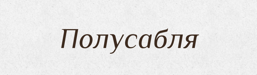 Полусабля — Російсько-український академічний словник (А–П)