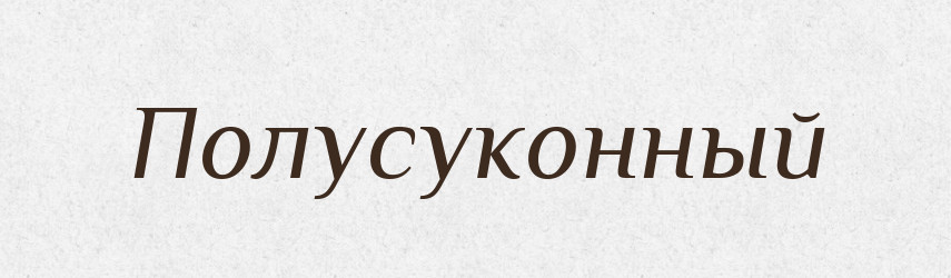 Полусуконный — Російсько-український академічний словник (А–П)