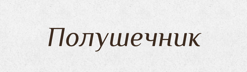 Полушечник — Російсько-український академічний словник (А–П)