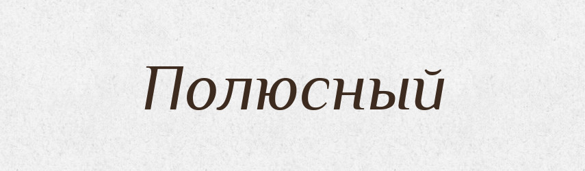 Полюсный — Російсько-український академічний словник (А–П)