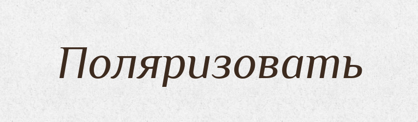 Поляризовать — Російсько-український академічний словник (А–П)