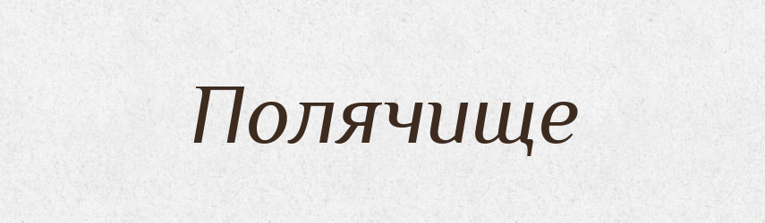 Полячище — Російсько-український академічний словник (А–П)