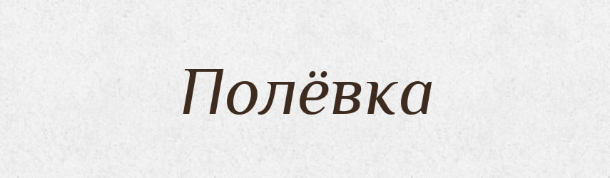 Полёвка — Російсько-український академічний словник (А–П)