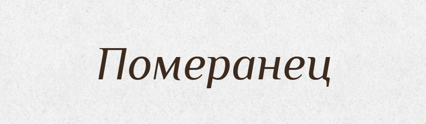 Померанец — Російсько-український академічний словник (А–П)