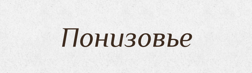 Понизовье — Російсько-український академічний словник (А–П)
