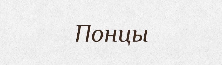 Понцы — Російсько-український академічний словник (А–П)