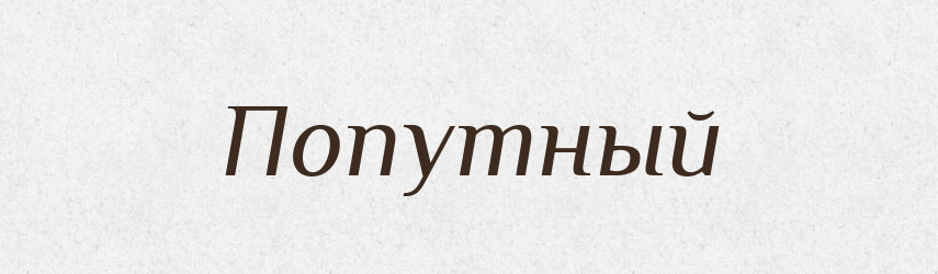 Попутный — Російсько-український академічний словник (А–П)