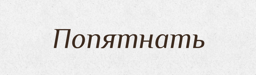 Попятнать — Російсько-український академічний словник (А–П)
