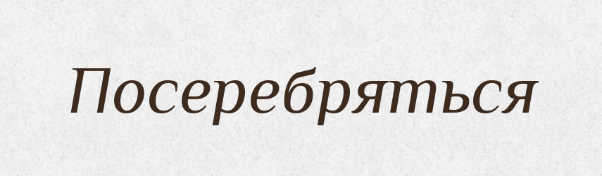 Посеребряться — Російсько-український академічний словник (А–П)