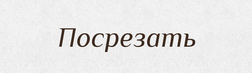 Посрезать — Російсько-український академічний словник (А–П)