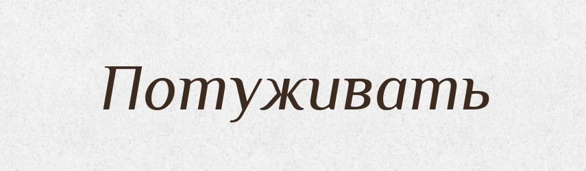 Потуживать — Російсько-український академічний словник (А–П)