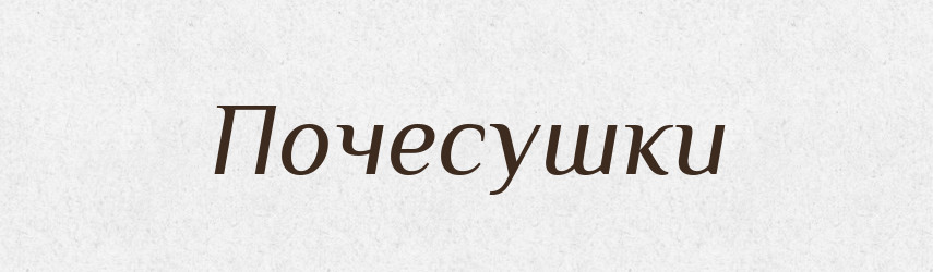 Почесушки — Російсько-український академічний словник (А–П)