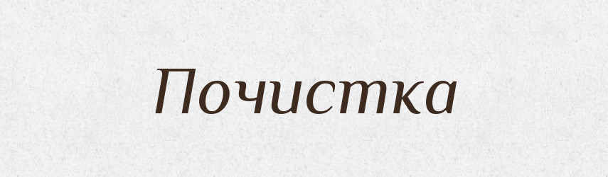 Почистка — Російсько-український академічний словник (А–П)