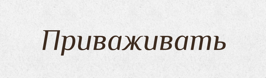 Приваживать — Російсько-український академічний словник (А–П)
