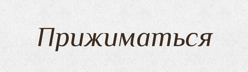 Прижиматься — Російсько-український академічний словник (А–П)