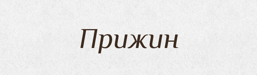 Прижин — Російсько-український академічний словник (А–П)