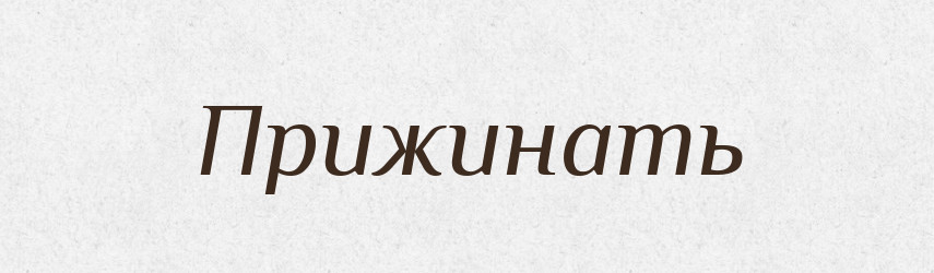 Прижинать — Російсько-український академічний словник (А–П)