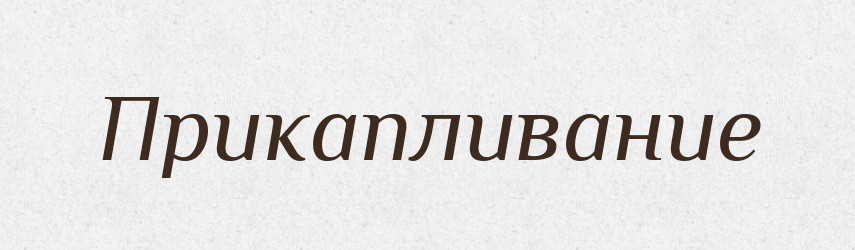 Прикапливание — Російсько-український академічний словник (А–П)