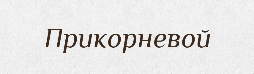 Прикорневой — Російсько-український академічний словник (А–П)