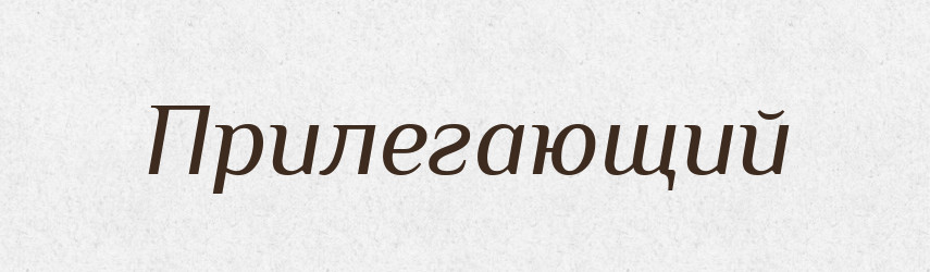 Прилегающий — Російсько-український академічний словник (А–П)