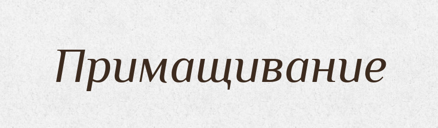 Примащивание — Російсько-український академічний словник (А–П)