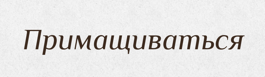 Примащиваться — Російсько-український академічний словник (А–П)