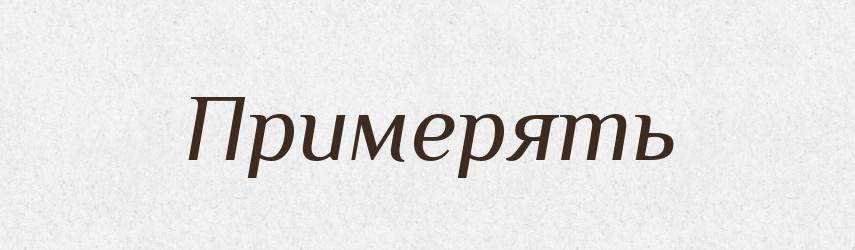 Примерять — Російсько-український академічний словник (А–П)