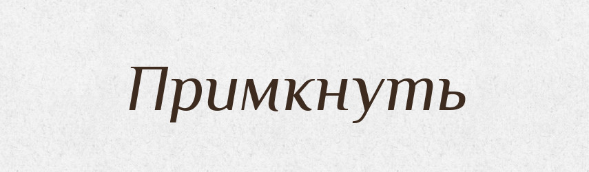 Примкнуть — Російсько-український академічний словник (А–П)
