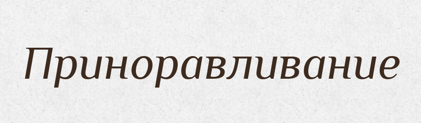 Приноравливание — Російсько-український академічний словник (А–П)