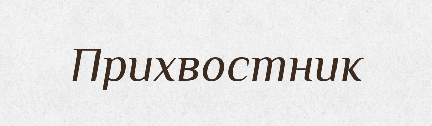 Прихвостник — Російсько-український академічний словник (А–П)