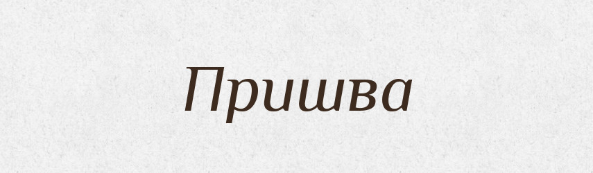 Пришва — Російсько-український академічний словник (А–П)