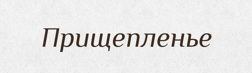 Прищепленье — Російсько-український академічний словник (А–П)
