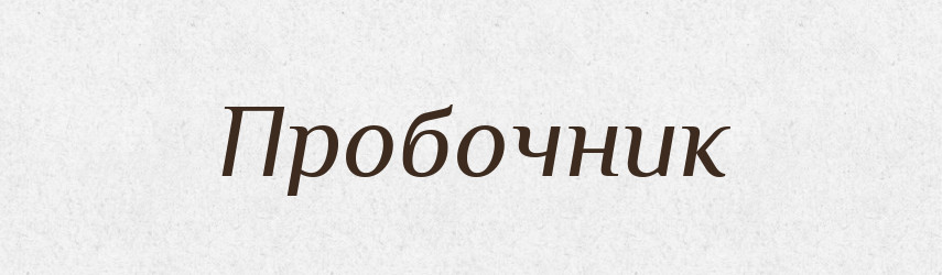 Пробочник — Російсько-український академічний словник (А–П)