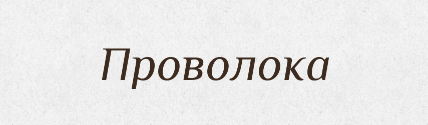 Проволока — Російсько-український академічний словник (А–П)