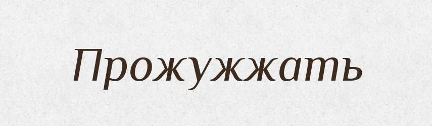 Прожужжать — Російсько-український академічний словник (А–П)