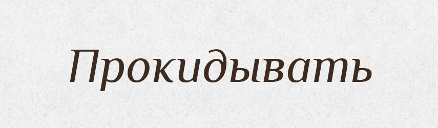 Прокидывать — Російсько-український академічний словник (А–П)
